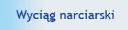 BEMA - obozy narciarskie, obozy snowboardowe, jednodniowe wyjazdy narciarsko-snowboardowe.
